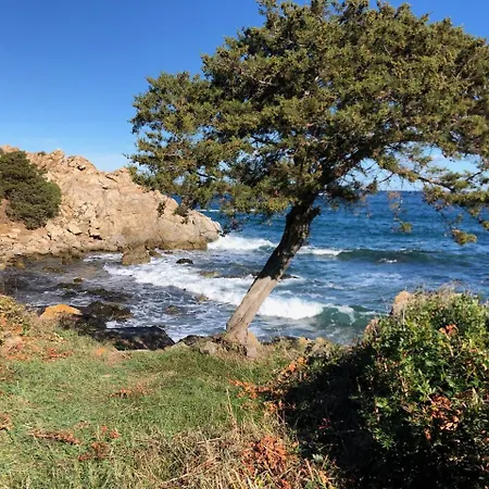 Orsa Maggiore Ottiolu